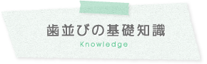 歯並びの基礎知識