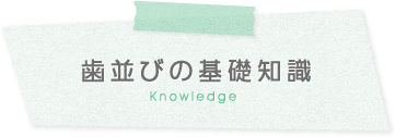 歯並びの基礎知識