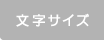 文字サイズ